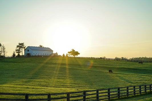 Understanding Hemp Laws in Kentucky: A Comprehensive Guide