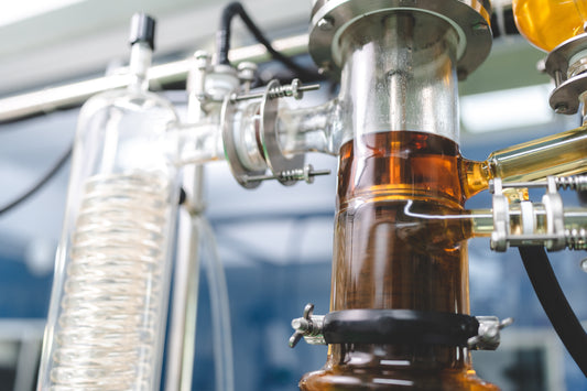 Innovations in Hemp Extraction Techniques and the Purity of Gummies