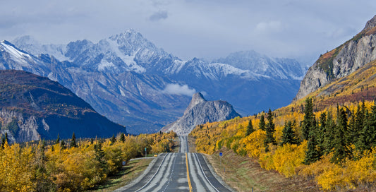 The Legality of Hemp in Alaska: A Complete Guide