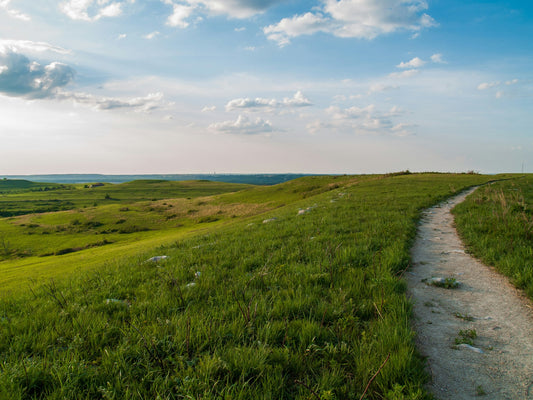 Understanding Hemp Laws in Kansas: A Comprehensive Guide