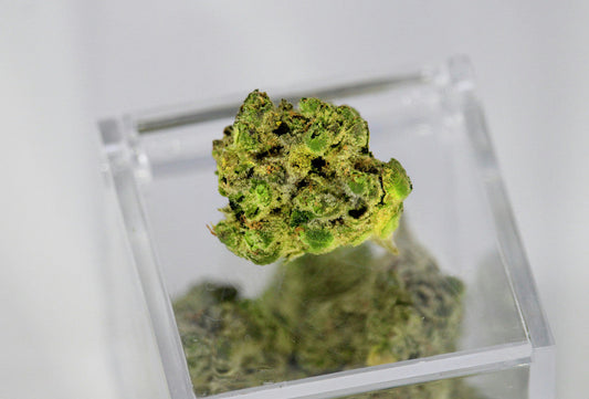 thcp vs thc