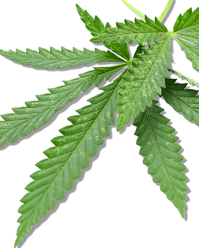 THC