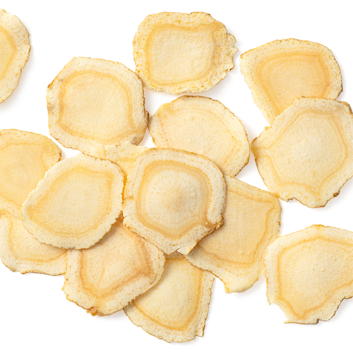Panax Ginseng