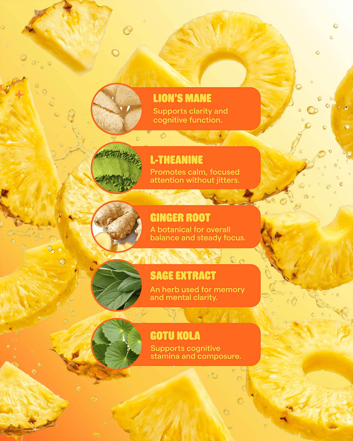 Fresh Focus: Focus Gummies