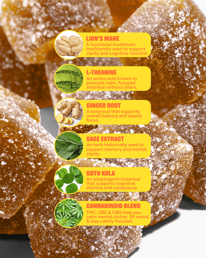 Highly In Focus: Focus Gummies