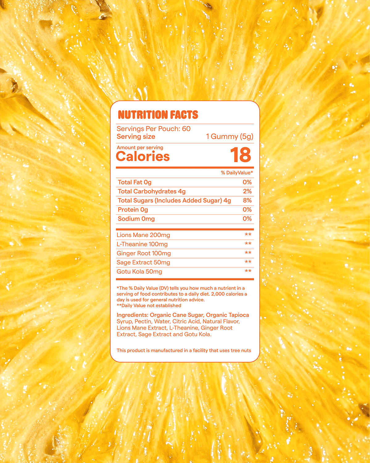 Fresh Focus: Focus Gummies