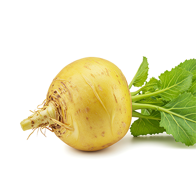 Maca Root Extract