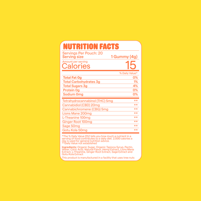 Highly in Focus - Wholesale Case (20 Count Pouches)